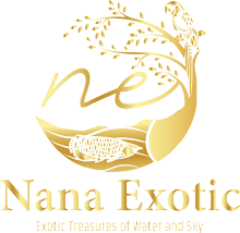 Nana Exotic